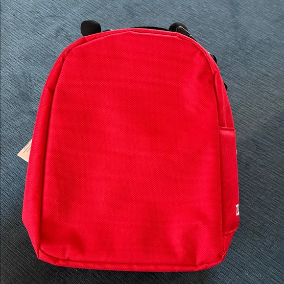 NWT✨Skip Hop Zoo Insulated Lunch Bag: 🌸 Lady Bug - Picture 2 of 8